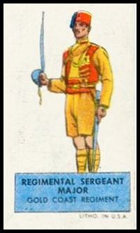49SN Regimental Sergeant Major.jpg